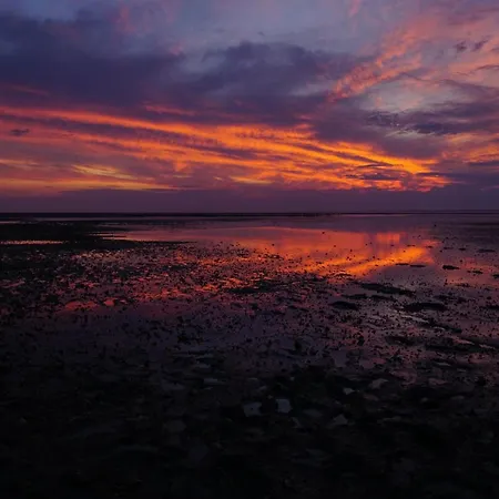 Guennis Perle Am Harleufer