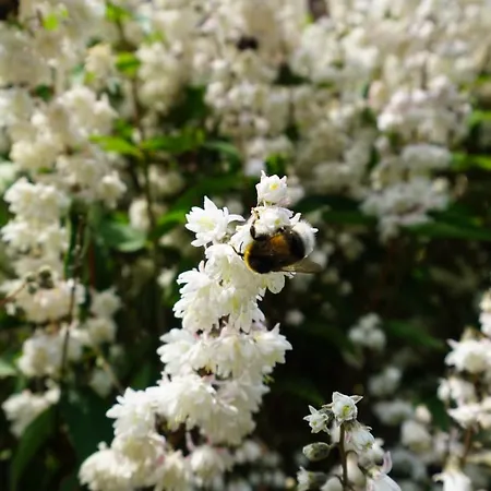 Günnis Perle Am Harleufer Carolinensiel