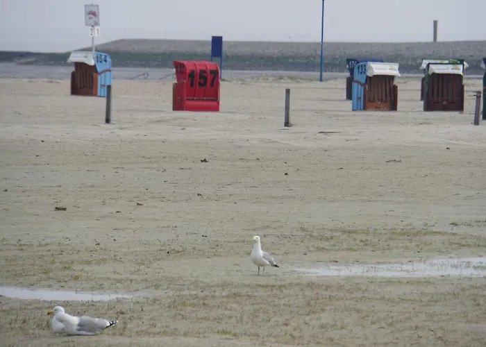 Apartman Guennis Perle Am Harleufer *