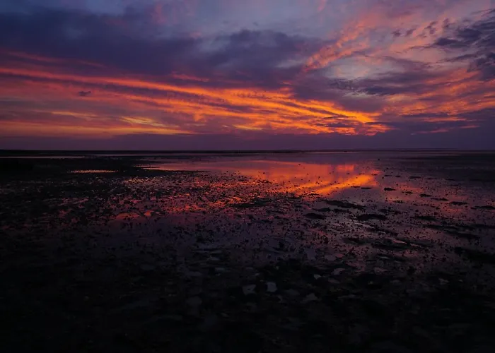 Guennis Perle Am Harleufer